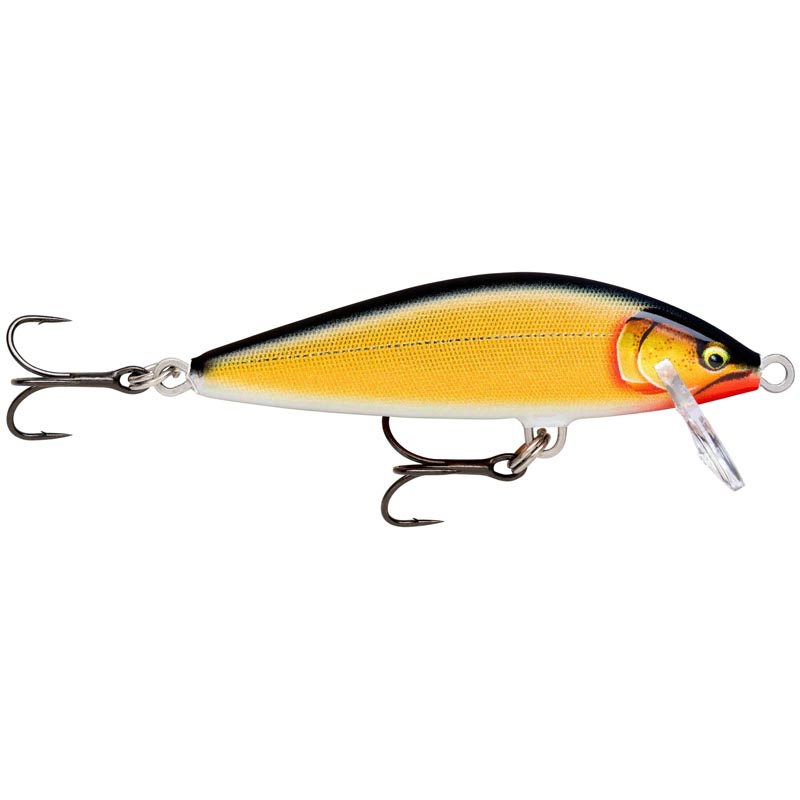 GILDED GOLD SHAD (GDGS)